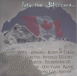 Compilations : Into the Blizzard... Canadian Assault
